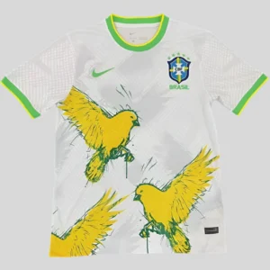 Concept Brésil