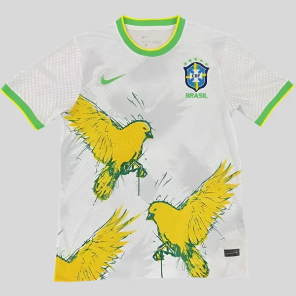 Concept Brésil