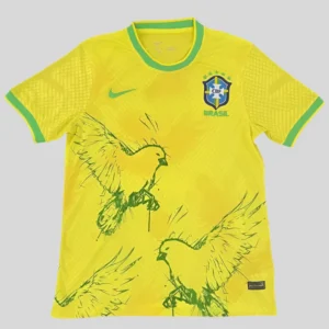 Concept Brésil